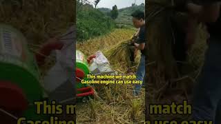 Rice thresher machine #agriculture