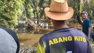 Ikan Hasil Mancing Mbah Blangkon || Ikan Slai