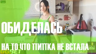 На что обижаются стримерши?