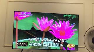 Basang basa sa ulan karaoke Key: Male Araneta Puyat