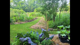 La forêt gourmande, un milieu biodiversifié: Questions et responses