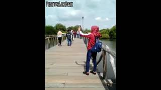 Wisata Mangrove Jakarta Utara