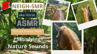 VIRTUAL DAY RIDE ~ ASMR | Horse walking - Birds - Wind - Nature | No Music | #horse #shorts