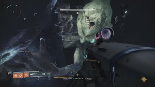 Destiny 2 Riven Last Wish Raid Boss Without Cheese! Legit Rivensbane 03-01-2020