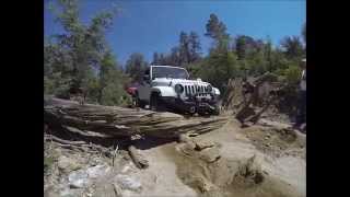 Jeeps vs. logs~ no chainsaw required