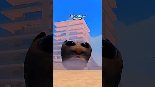 Sad Hamster On Roblox? 🥺 Dance -  Gata Only