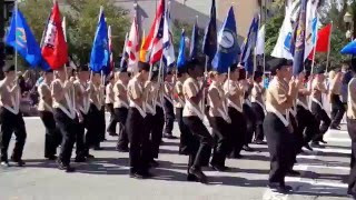 Orlando Veterans Day Parade 2015