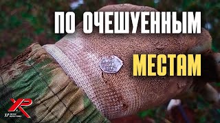 НА ЧЕШУЙНОМ МЕСТЕ КОПАЕМ МОНЕТЫ С XP ORX