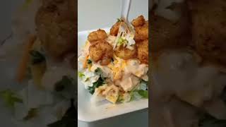 Picture a shrimp salad bursting with freshness succulent shrimp nestled on a bed of crisp greens.