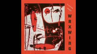 Waxwing - Flicker Down (Full Album)