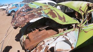 VW Beetle vs. Horse…and other desert treasures