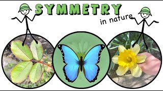 Symmetry (Reflection, Rotational, Translational and Glide reflection)