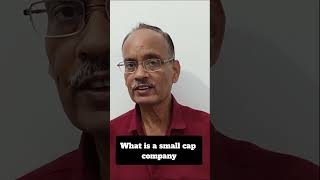 What is a Small Cap Company