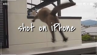 shot on iPhone meme | shot on iphone meme funny video | status guru