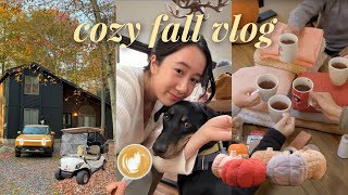 Cozy Fall Vlog 🍁 Slow Living, Autumn Hiking, Pumpkin Carving, Fall Baking & Fall Crafts