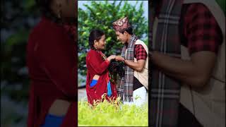 बुट्टे क्रमु चिनो तै क्योलाई | Gurung Song | ft. कमल गुरुङ र पबित्र गुरुङ