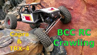 Big Cottonwood Canyon RC Crawling - Capra & TRX-4