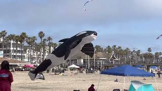 Huntington Beach Kite Festival