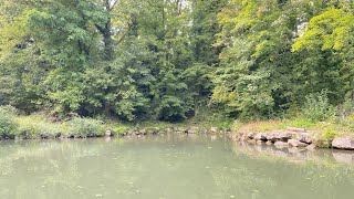 the eternal river in the flowing waters and in the nature of the forest  🌳