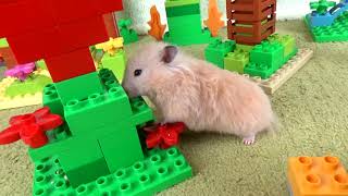 Hamster in the Lego Fairy Forest