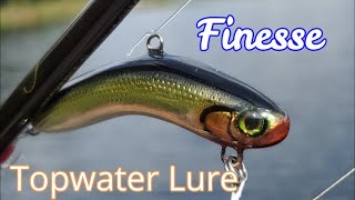 Wacky Rig Topwater Bass Lure, Making a Unique Topewater Lure  #topwaterlure  #basslure