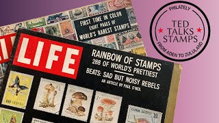 The Most Rare, Valuable, and Prettiest Postage Stamps in the 1950s [Ep. 89]