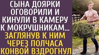 Сына доярки оклеветали и бросили в камеру к опасным преступникам… Когда конвой заглянул к ним чере