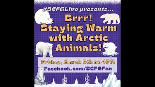 #SCFGLive: Brrr! Staying Warm With Arctic Animals