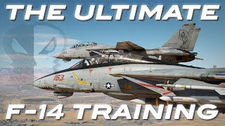 DCS: Speed & Angels F-14 Campaign Structure