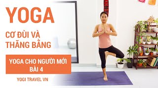 YOGA CHO NGƯỜI MỚI - chuỗi bài dành cho người mới tập YOGA (bài 4)