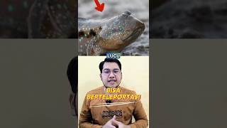 Ikan ini bisa berteleportasi ⁉️ #ikan #faktaunik #reels