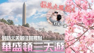 櫻姿颯颯 - 華盛頓櫻花節大巡遊3天團  馬利蘭州最新Outlet買到夠｜大班旅遊 Taipan Tours