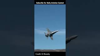 This Fighter Jet flies over a crowd! | Daily aviation 38 #aviation #shorts