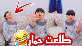 أبوك يبغى مصلحتي  بس انا حمار🤣🤦🏻‍♂️ (حسابي انحظر💔) سناب حلوة البنات |214|