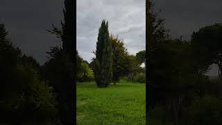 Panoramica con il sottofondo delle campane di Montegalda e dei campanelli a mano #bells #campane