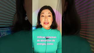 ¿Sabes qué Son las Estructuras Antisísmicas? ¡Silvana Ariela te Lo Explica en este Video!