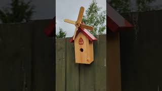 Our latest bird house is complete. Do birds like windmills? let's find out