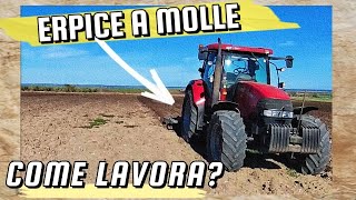 Ripasso pre semina con erpice a molle | Case IH Maxxum 140