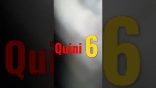 Quini 6