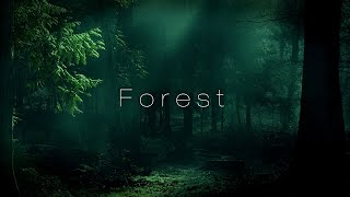 Forest • Etheral Meditation Relaxing Sleep Calm Music