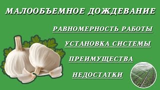 Малообъемное дождевание. Установка системы. Равномерность работы. Преимущества и недостатки!