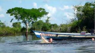 International Belly Flop Competition