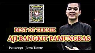 BEST TEKNIK OF AJI BANGKIT PAMUNGKAS | PENCAK SILAT | PSHT