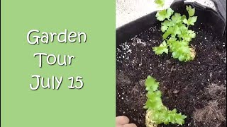 Garden Tour July 15