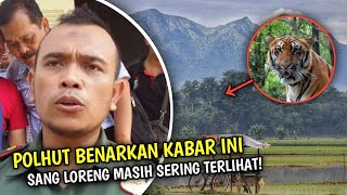 Warga Pati Saksi Nyata Sang Loreng, Harimau Jawa Masih Ada di Pegunungan Muria?