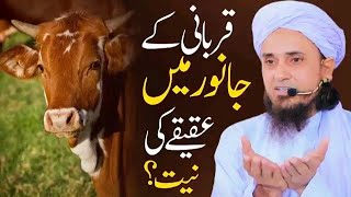 Qurbani Ke Janwar Me Aqiqe Ki Niyat | Mufti Tariq Masood | Kurbani Ka Janwar | Qurbani Ke masaeel