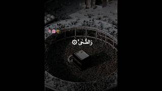 Surah Duha❤ #trending #shorts #surahduha #viral #youtubeshorts