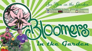 Bloomers in the Garden | 7.1.23: 3 Pillars of Landscape Designs, Hummingbirds, Mosquitoes & Wasps