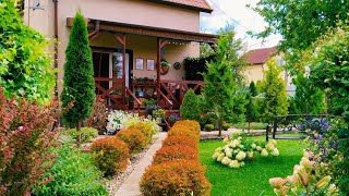 🏠🌲Уютный День Дома.Игра Цвета. Покупка для Сада. Рецепт из кабачков #garden #дом