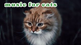 Soothing Anti-Anxiety Music for Cats & Dogs | Super Pet Hub